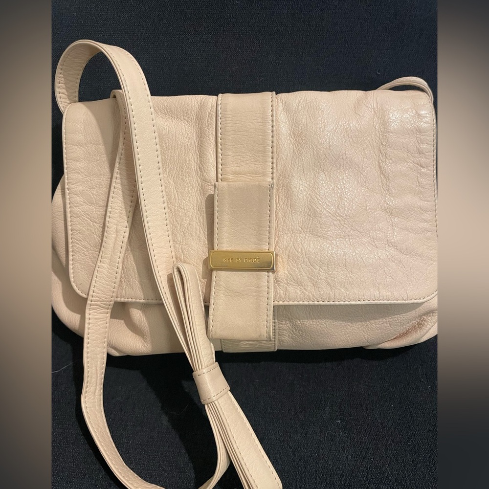 See by Chloe, All Leather Crossbody Bag, long strap, y2k 🔥🔥🔥, Authentic - Picture 3 of 16